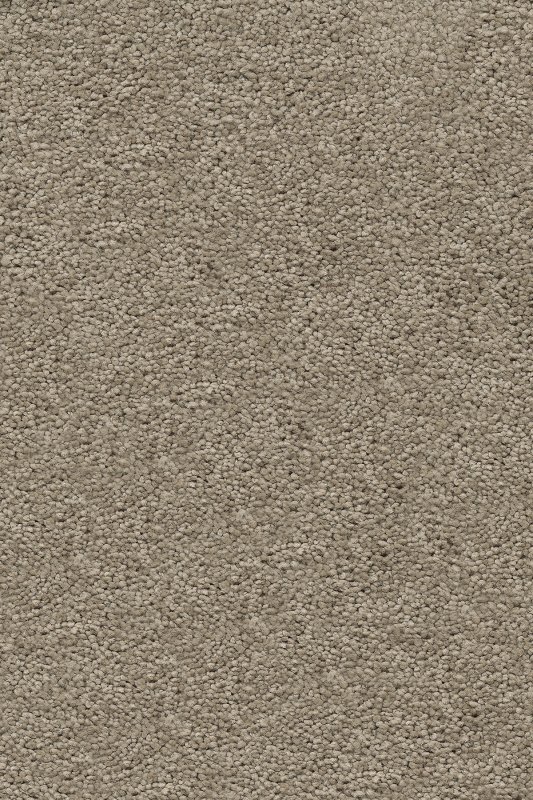 картинка Associated Weavers Vigour 37 (Маскарад Vigour 37) магазин Симфония Пола - официальный дилер Associated Weavers в России картинка Associated Weavers Vigour 37 (Маскарад Vigour 37) магазин Симфония Пола - официальный дилер Associated Weavers в России