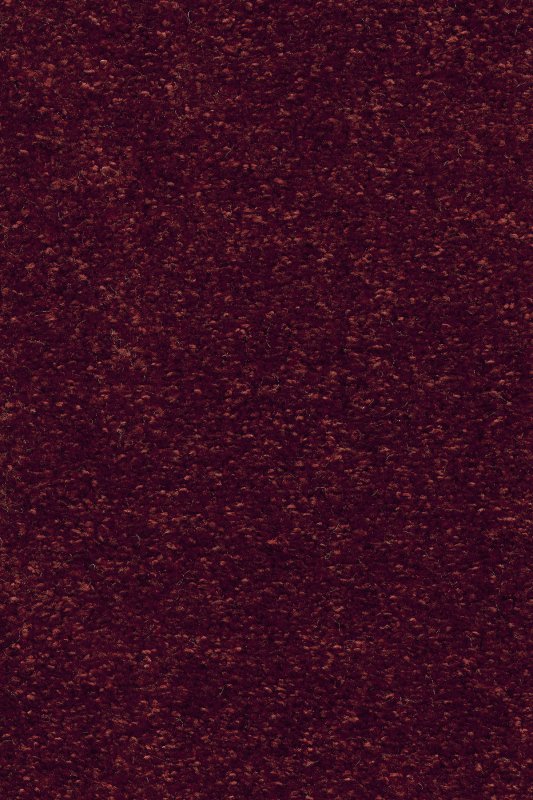картинка Associated Weavers Costanza 19 (Маскарад Costanza 19) магазин Симфония Пола - официальный дилер Associated Weavers в России картинка Associated Weavers Costanza 19 (Маскарад Costanza 19) магазин Симфония Пола - официальный дилер Associated Weavers в России