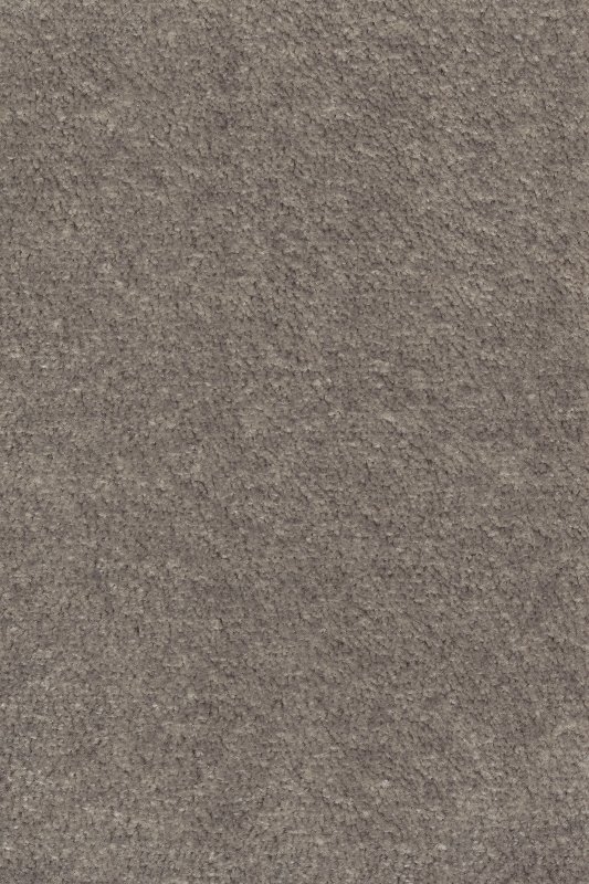 картинка Associated Weavers Isotta 49 (Маскарад Isotta 49) магазин Симфония Пола - официальный дилер Associated Weavers в России картинка Associated Weavers Isotta 49 (Маскарад Isotta 49) магазин Симфония Пола - официальный дилер Associated Weavers в России
