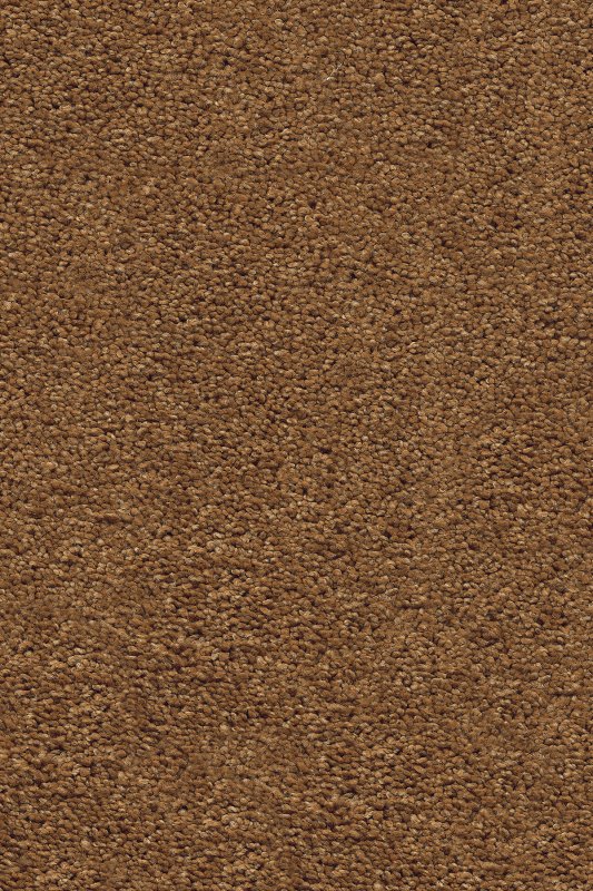 картинка Associated Weavers Vigour 80 (Маскарад Vigour 80) магазин Симфония Пола - официальный дилер Associated Weavers в России картинка Associated Weavers Vigour 80 (Маскарад Vigour 80) магазин Симфония Пола - официальный дилер Associated Weavers в России