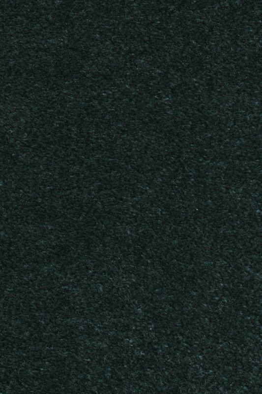 картинка Associated Weavers Euphoria 74 (Маскарад Euphoria 74) магазин Симфония Пола - официальный дилер Associated Weavers в России картинка Associated Weavers Euphoria 74 (Маскарад Euphoria 74) магазин Симфония Пола - официальный дилер Associated Weavers в России