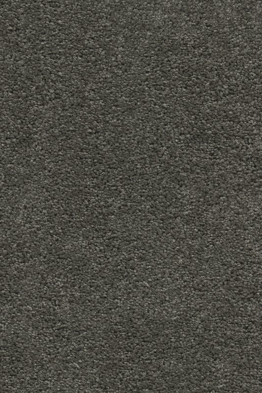 картинка Associated Weavers Vigour 95 (Маскарад Vigour 95) магазин Симфония Пола - официальный дилер Associated Weavers в России картинка Associated Weavers Vigour 95 (Маскарад Vigour 95) магазин Симфония Пола - официальный дилер Associated Weavers в России