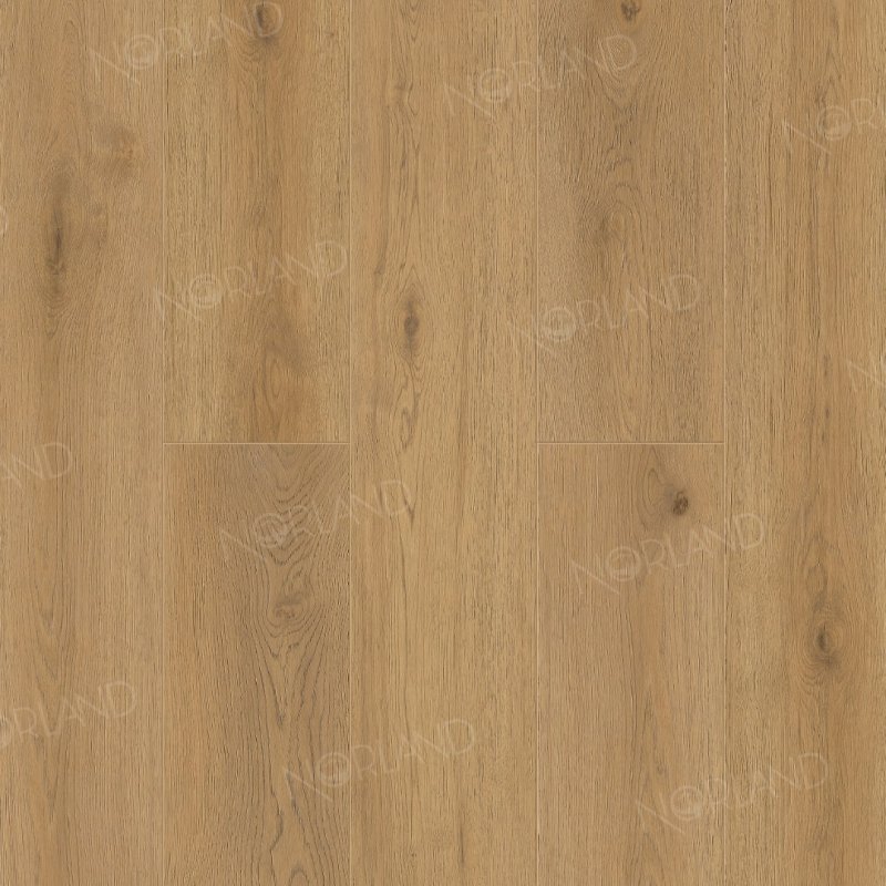 картинка Alpine Floor Norland Blake 1001-2 (Алпайн флор Блаке 1001-2) магазин Симфония Пола - официальный дилер Alpine Floor в России картинка Alpine Floor Norland Blake 1001-2 (Алпайн флор Блаке 1001-2) магазин Симфония Пола - официальный дилер Alpine Floor в России