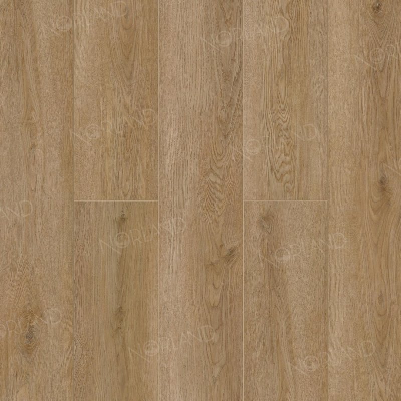 картинка Alpine Floor Norland Niky 1001-20 (Алпайн флор Никья 1001-20) магазин Симфония Пола - официальный дилер Alpine Floor в России картинка Alpine Floor Norland Niky 1001-20 (Алпайн флор Никья 1001-20) магазин Симфония Пола - официальный дилер Alpine Floor в России