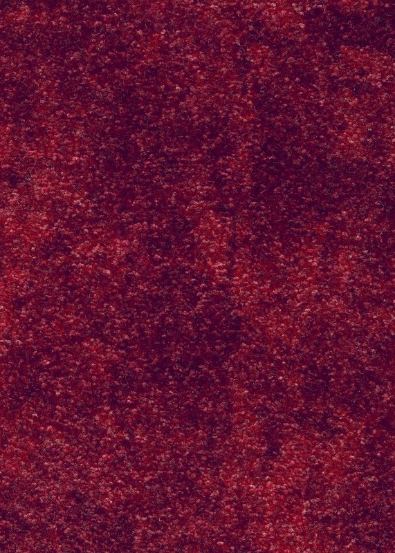 картинка Associated Weavers Palio 11 (Маскарад Palio 11) магазин Симфония Пола - официальный дилер Associated Weavers в России картинка Associated Weavers Palio 11 (Маскарад Palio 11) магазин Симфония Пола - официальный дилер Associated Weavers в России