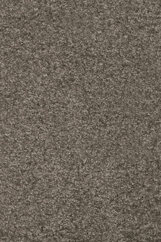 картинка Associated Weavers Gaia Meridia 97 (Гая Meridia 97) магазин Симфония Пола - официальный дилер Associated Weavers в России картинка Associated Weavers Gaia Meridia 97 (Гая Meridia 97) магазин Симфония Пола - официальный дилер Associated Weavers в России