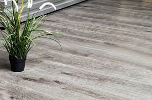 картинка Alpine Floor ECO 5-24 (Альпин Флор ECO 5-24) магазин Симфония Пола - официальный дилер Alpine Floor в России картинка Alpine Floor ECO 5-24 (Альпин Флор ECO 5-24) магазин Симфония Пола - официальный дилер Alpine Floor в России