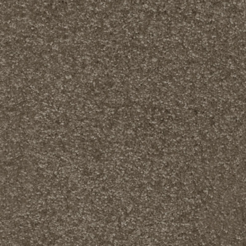 картинка Associated Weavers Porzia 42 (Маскарад Porzia 42) магазин Симфония Пола - официальный дилер Associated Weavers в России картинка Associated Weavers Porzia 42 (Маскарад Porzia 42) магазин Симфония Пола - официальный дилер Associated Weavers в России