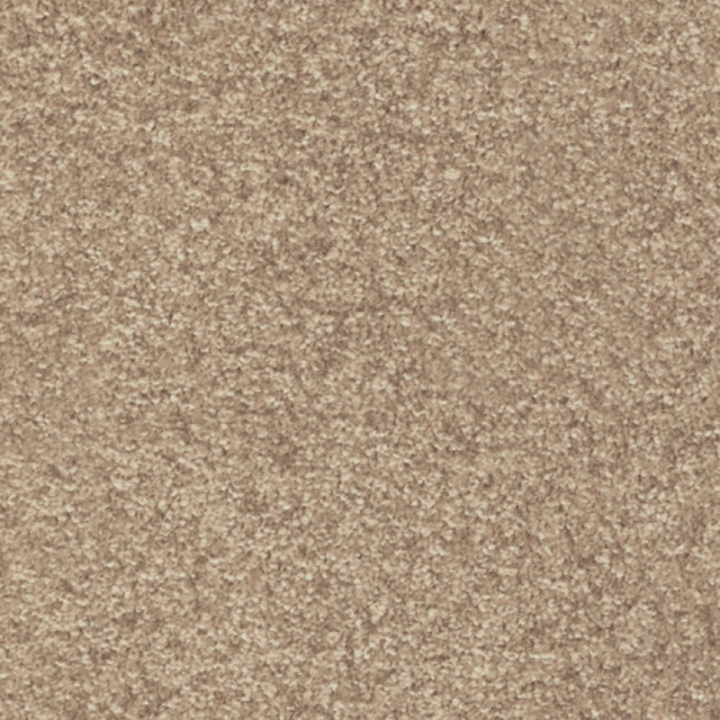 картинка Associated Weavers Porzia 35 (Маскарад Porzia 35) магазин Симфония Пола - официальный дилер Associated Weavers в России картинка Associated Weavers Porzia 35 (Маскарад Porzia 35) магазин Симфония Пола - официальный дилер Associated Weavers в России
