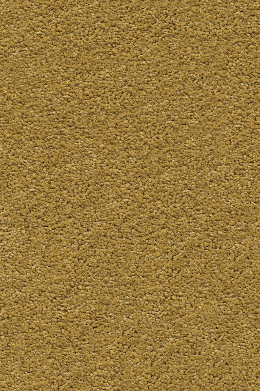 картинка Associated Weavers Vigour 54 (Маскарад Vigour 54) магазин Симфония Пола - официальный дилер Associated Weavers в России картинка Associated Weavers Vigour 54 (Маскарад Vigour 54) магазин Симфония Пола - официальный дилер Associated Weavers в России