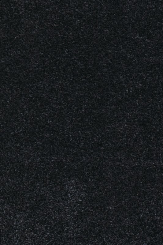 картинка Associated Weavers Euphoria 78 (Маскарад Euphoria 78) магазин Симфония Пола - официальный дилер Associated Weavers в России картинка Associated Weavers Euphoria 78 (Маскарад Euphoria 78) магазин Симфония Пола - официальный дилер Associated Weavers в России