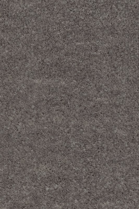 картинка Associated Weavers Euphoria 45 (Маскарад Euphoria 45) магазин Симфония Пола - официальный дилер Associated Weavers в России картинка Associated Weavers Euphoria 45 (Маскарад Euphoria 45) магазин Симфония Пола - официальный дилер Associated Weavers в России