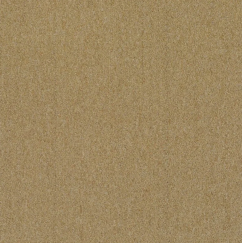 картинка Silver Stone Edinburgh 135F01 (Силвер Стоун Эдинбургh 135F01) магазин Симфония Пола - официальный дилер Silver Stone в России картинка Silver Stone Edinburgh 135F01 (Силвер Стоун Эдинбургh 135F01) магазин Симфония Пола - официальный дилер Silver Stone в России