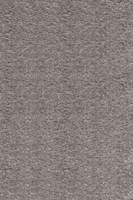 картинка Associated Weavers INVICTUS Orion 40 (АВ ИНВИКТУС Орион 40.jpg) магазин Симфония Пола - официальный дилер Associated Weavers в России картинка Associated Weavers INVICTUS Orion 40 (АВ ИНВИКТУС Орион 40.jpg) магазин Симфония Пола - официальный дилер Associated Weavers в России