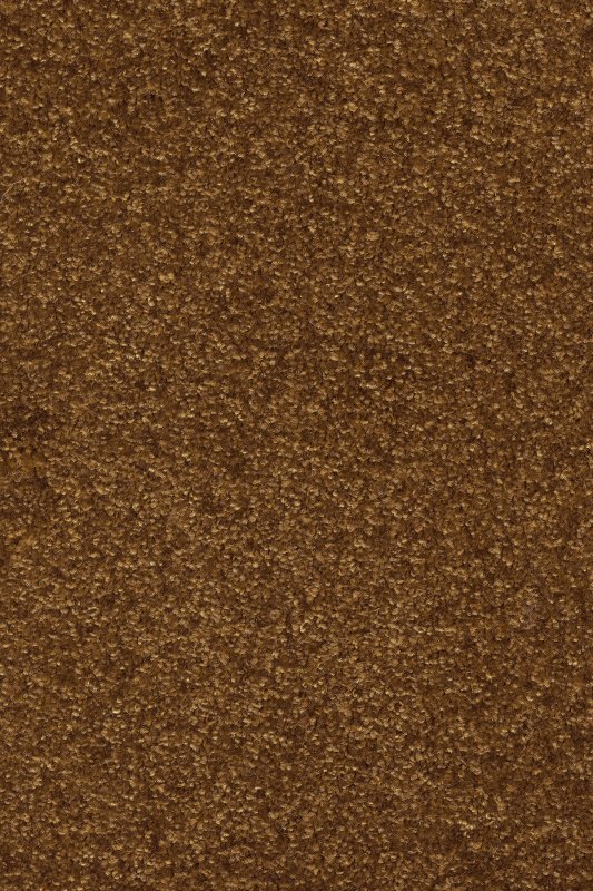 картинка Associated Weavers Gaia Equator 80 (Гая Equator 80) магазин Симфония Пола - официальный дилер Associated Weavers в России картинка Associated Weavers Gaia Equator 80 (Гая Equator 80) магазин Симфония Пола - официальный дилер Associated Weavers в России