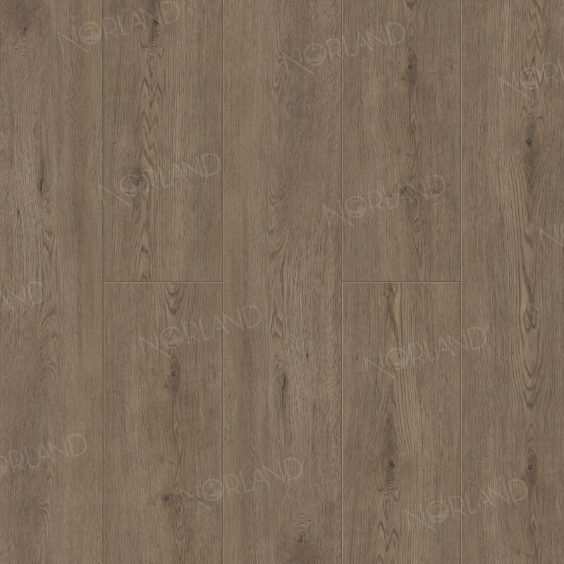 картинка Alpine Floor Norland Flosi 1001-8 (Алпайн флор Флоси 1001-8) магазин Симфония Пола - официальный дилер Alpine Floor в России картинка Alpine Floor Norland Flosi 1001-8 (Алпайн флор Флоси 1001-8) магазин Симфония Пола - официальный дилер Alpine Floor в России