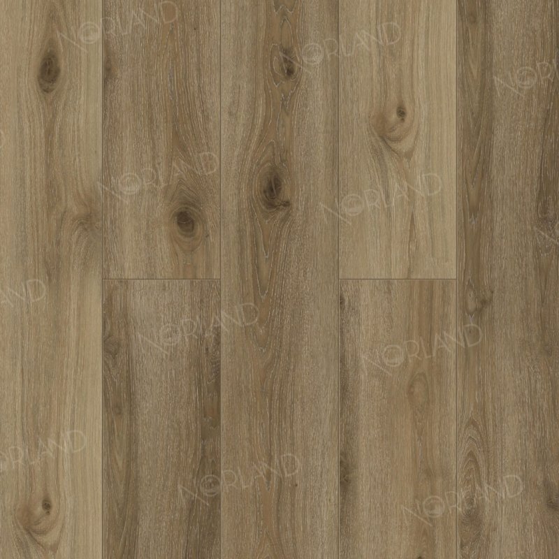 картинка Alpine Floor Norland Signi 1001-15 (Алпайн флор Сигни 1001-15) магазин Симфония Пола - официальный дилер Alpine Floor в России картинка Alpine Floor Norland Signi 1001-15 (Алпайн флор Сигни 1001-15) магазин Симфония Пола - официальный дилер Alpine Floor в России