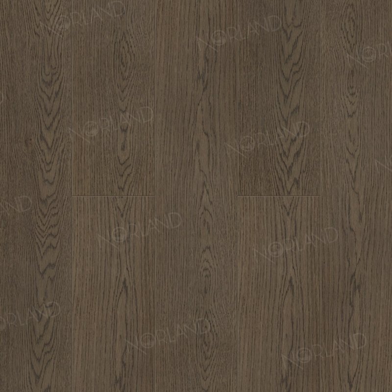 картинка Alpine Floor Norland Bent 1001-10 (Алпайн флор Бент 1001-10) магазин Симфония Пола - официальный дилер Alpine Floor в России картинка Alpine Floor Norland Bent 1001-10 (Алпайн флор Бент 1001-10) магазин Симфония Пола - официальный дилер Alpine Floor в России