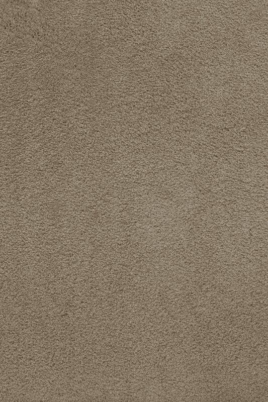 картинка Associated Weavers Ковролин Lamia 49 (Маскарад Lamia 49) магазин Симфония Пола - официальный дилер Associated Weavers в России картинка Associated Weavers Ковролин Lamia 49 (Маскарад Lamia 49) магазин Симфония Пола - официальный дилер Associated Weavers в России