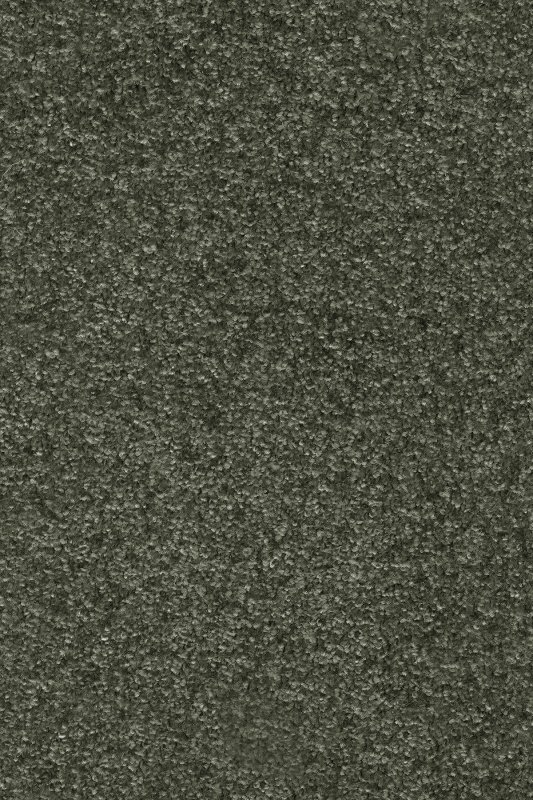 картинка Associated Weavers Gaia Equator 24 (Гая Equator 24) магазин Симфония Пола - официальный дилер Associated Weavers в России картинка Associated Weavers Gaia Equator 24 (Гая Equator 24) магазин Симфония Пола - официальный дилер Associated Weavers в России