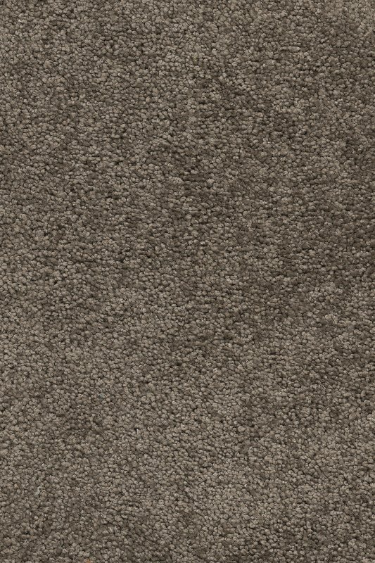 картинка Associated Weavers Vigour 44 (Маскарад Vigour 44) магазин Симфония Пола - официальный дилер Associated Weavers в России картинка Associated Weavers Vigour 44 (Маскарад Vigour 44) магазин Симфония Пола - официальный дилер Associated Weavers в России
