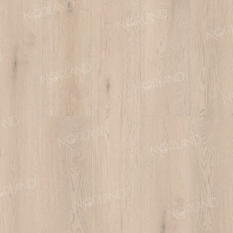 картинка Alpine Floor Norland Alante 1001-5 (Алпайн флор Аланте 1001-5) магазин Симфония Пола - официальный дилер Alpine Floor в России картинка Alpine Floor Norland Alante 1001-5 (Алпайн флор Аланте 1001-5) магазин Симфония Пола - официальный дилер Alpine Floor в России