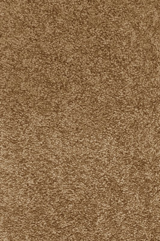 картинка Associated Weavers Gaia Solstice 80 (Гая Solstice 80) магазин Симфония Пола - официальный дилер Associated Weavers в России картинка Associated Weavers Gaia Solstice 80 (Гая Solstice 80) магазин Симфония Пола - официальный дилер Associated Weavers в России