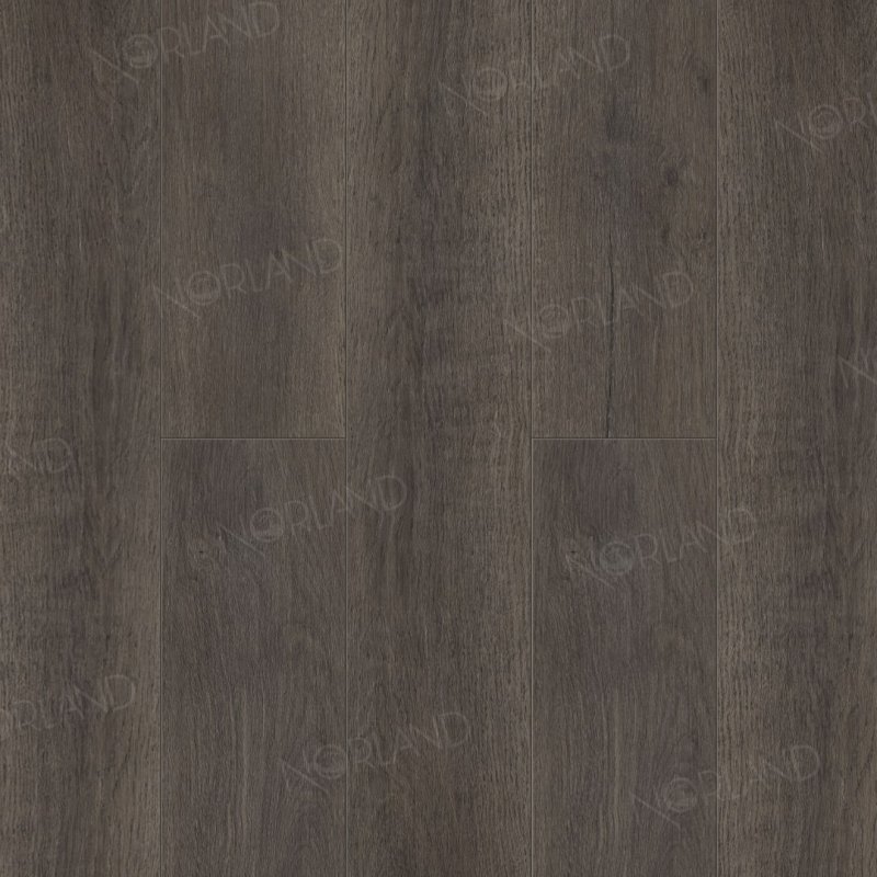 картинка Alpine Floor Norland Baggy 1001-7 (Алпайн флор Багги 1001-7) магазин Симфония Пола - официальный дилер Alpine Floor в России картинка Alpine Floor Norland Baggy 1001-7 (Алпайн флор Багги 1001-7) магазин Симфония Пола - официальный дилер Alpine Floor в России