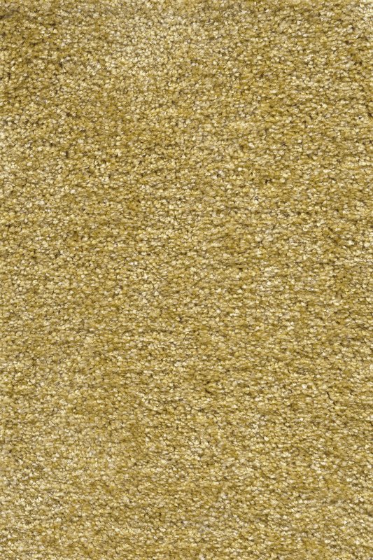 картинка Associated Weavers Certosa 50 (Маскарад Certosa 50) магазин Симфония Пола - официальный дилер Associated Weavers в России картинка Associated Weavers Certosa 50 (Маскарад Certosa 50) магазин Симфония Пола - официальный дилер Associated Weavers в России